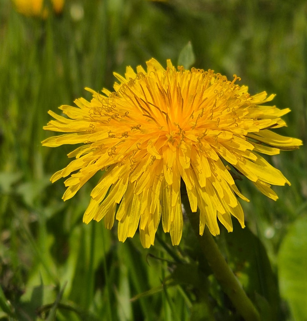 Read more about the article Obsługa linii komunikacyjnych podczas długiego weekendu majowego 01-03.05.2026 r. :